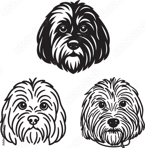 Set of dog vector