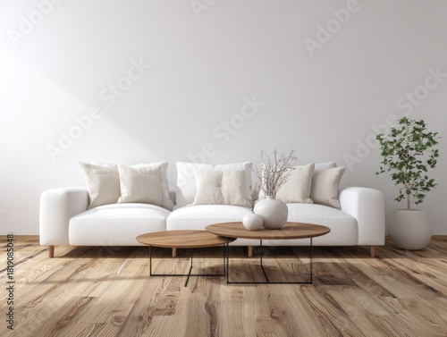Clean modern interior white sofa, wood floors, round tables, plant, bright