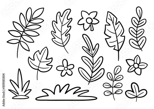 Doodle leaves and flowers set. Simple black and white botanical hand-drawn plant coloring page for kids.