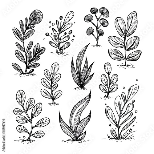 A collection of ten abstract hand-drawn plant forms in a sketchy doodle style, isolated vector illustration on white background