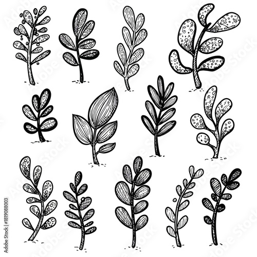 A versatile vector collection of twelve abstract plant forms in a hand-drawn doodle style, isolated botanical sketches