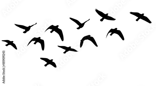 Silhouette of birds flying in formation against a white sky