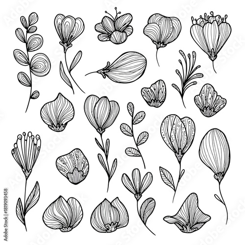 A beautiful vector collection of eighteen abstract flowers and leaves, hand-drawn in a detailed doodle line art style