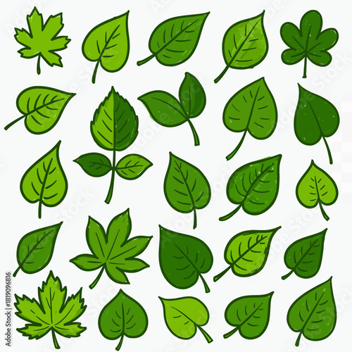 A comprehensive vector set of assorted hand drawn green foliage and plant leaves, rendered in a simple and cute doodle style illustration