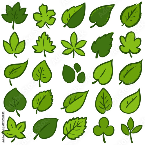 A vector collection of various simple hand-drawn green leaves. Set of botanical elements, foliage icons, and plant illustrations isolated on white
