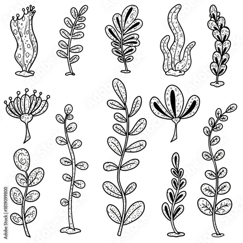 A vector collection of 15 abstract hand-drawn plant shapes in a doodle art style, perfect for botanical and underwater themes