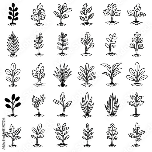 A diverse group of twenty-five abstract plant and sapling illustrations. Hand-drawn doodle style botanical vector icons collection