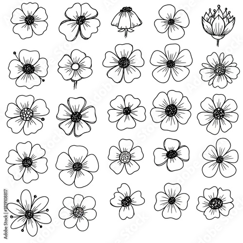Collection of twenty-five simple hand-drawn flower heads. A vector set of isolated floral doodles with a sketchy, cartoonish aesthetic