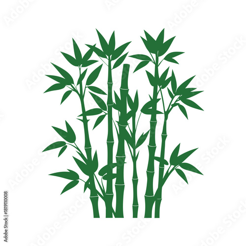 Green bamboo stalks vector illustration, asian nature plant ecology symbol Vector