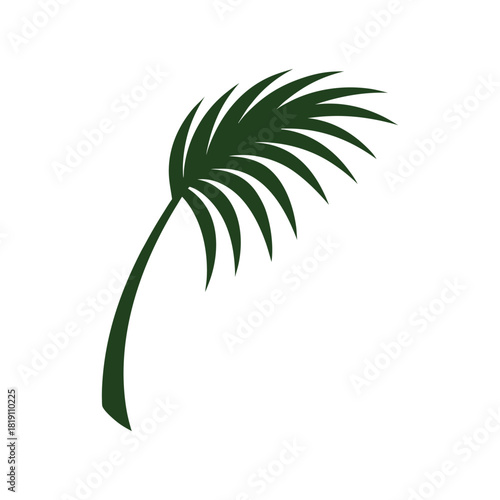 Simple green palm leaf frond icon or logo element tropical plant vector Vector