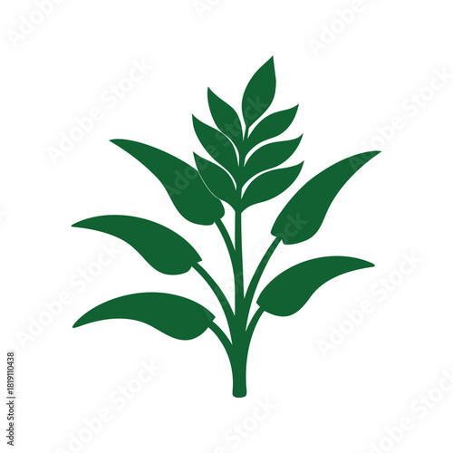 Stylized green grain plant icon representing agriculture and natural growth Vector