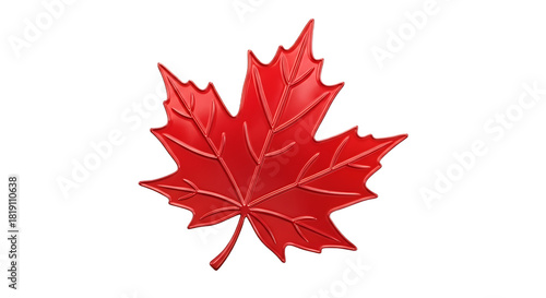 Isolated glossy red maple leaf with detailed veins on a plain black background in a centered view