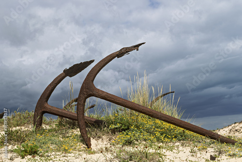Rusting iron anchors arranged in sand dunes at Praia do Barril, Tavira, Portugal, memorial to tuna fishing heritage,