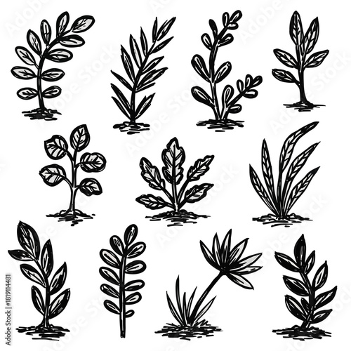An assortment of isolated botanical plant doodles created with a rough brush texture, a hand-drawn vector illustration set on a white background
