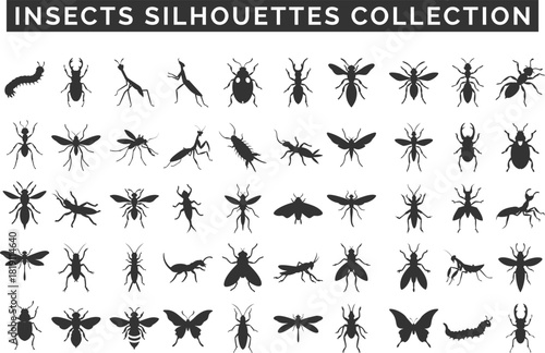 Insects Silhouette Vector Set – Detailed Flying and Crawling Bug Silhouettes for Design