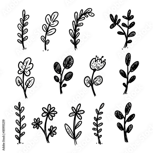 Set of twelve simple hand-drawn plant and flower doodles. An assortment of botanical vector elements in a sketchy ink style