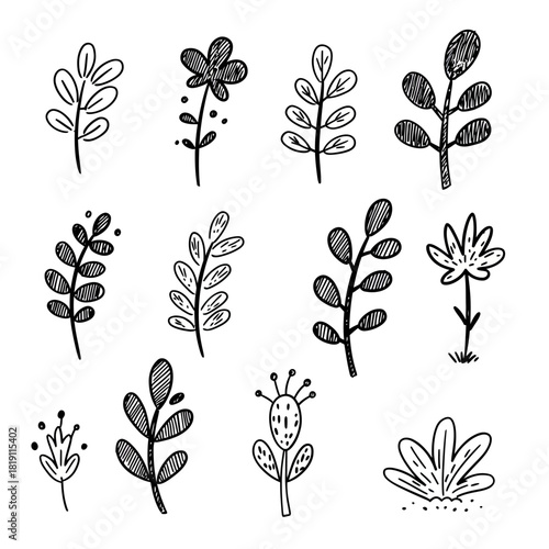 A vector collection of minimalist hand-drawn botanical elements, featuring an assortment of simple flowers, leaves, and branches in a doodle style