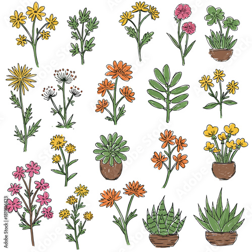 An assortment of 20 hand-drawn botanical doodle illustrations, a colorful vector set of various flowers and succulents isolated on a white background