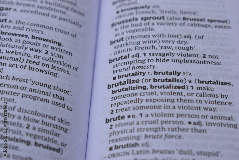 Obraz premium Definition Of English Dictionary Close Up Of Page With Word - brutalize