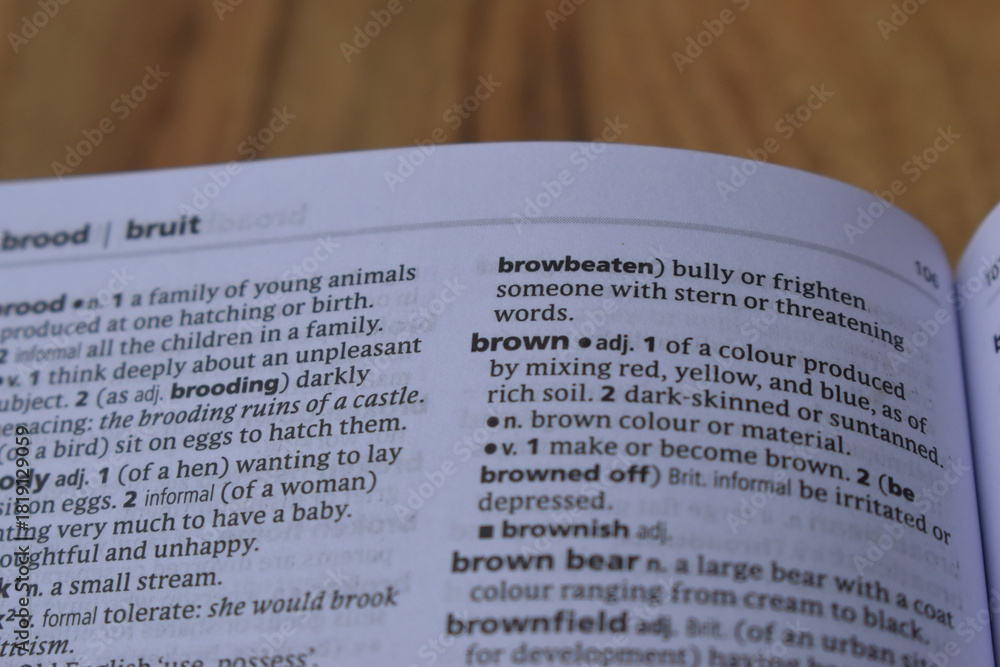Fototapeta premium English Dictionary Page Close Up With The Word Meaning Of -brown
