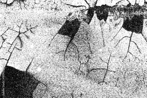 High-contrast black and white halftone texture created from dense grain, noise, and distressed patterns. Abstract grunge surface suitable for overlays, print effects