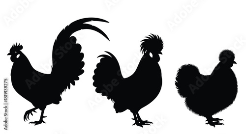 Silhouettes of three roosters and a hen a farm animal illustration