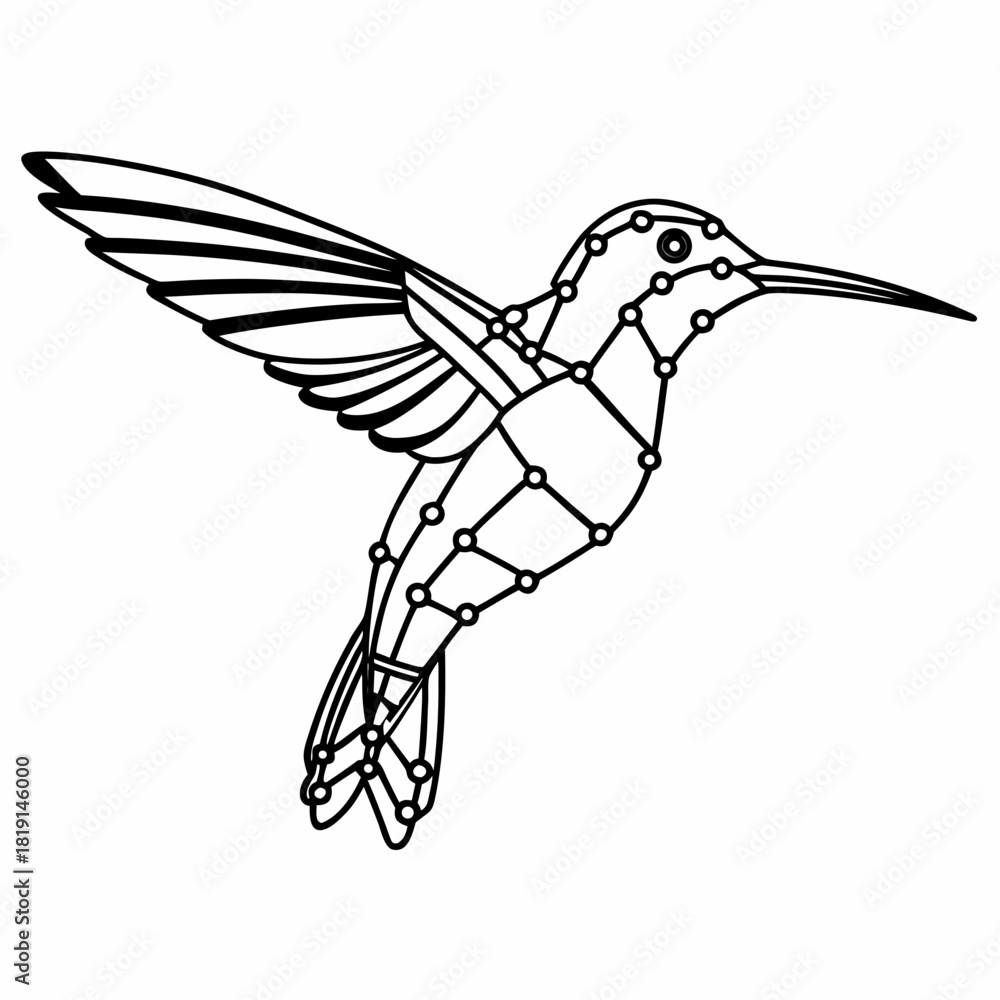 Obraz premium Geometric hummingbird line art with connected dots