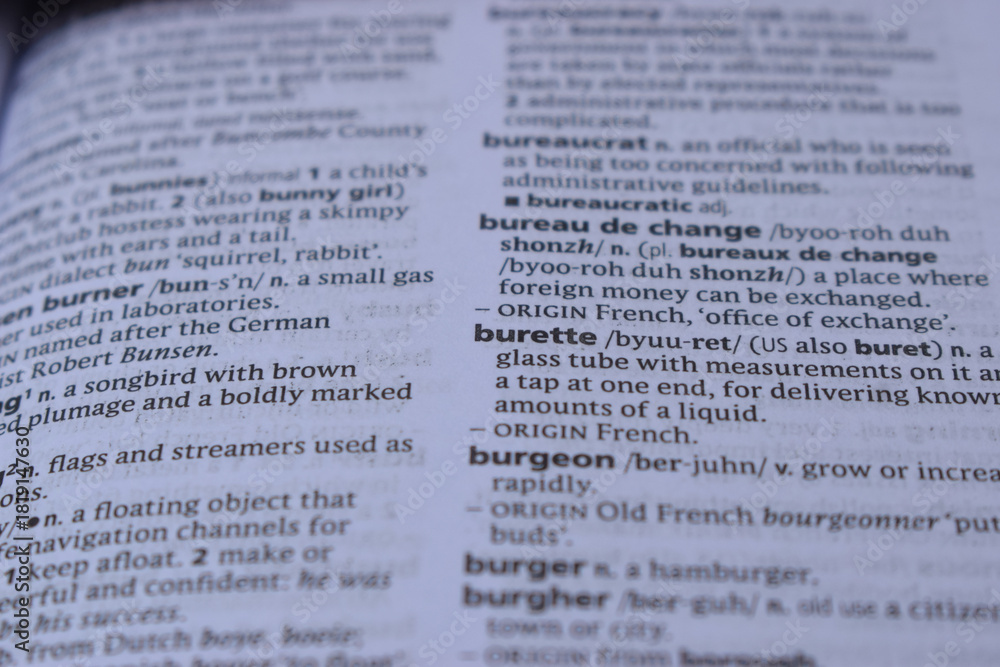 Obraz premium English Dictionary Page Close Up With The Word Meaning Of -burette