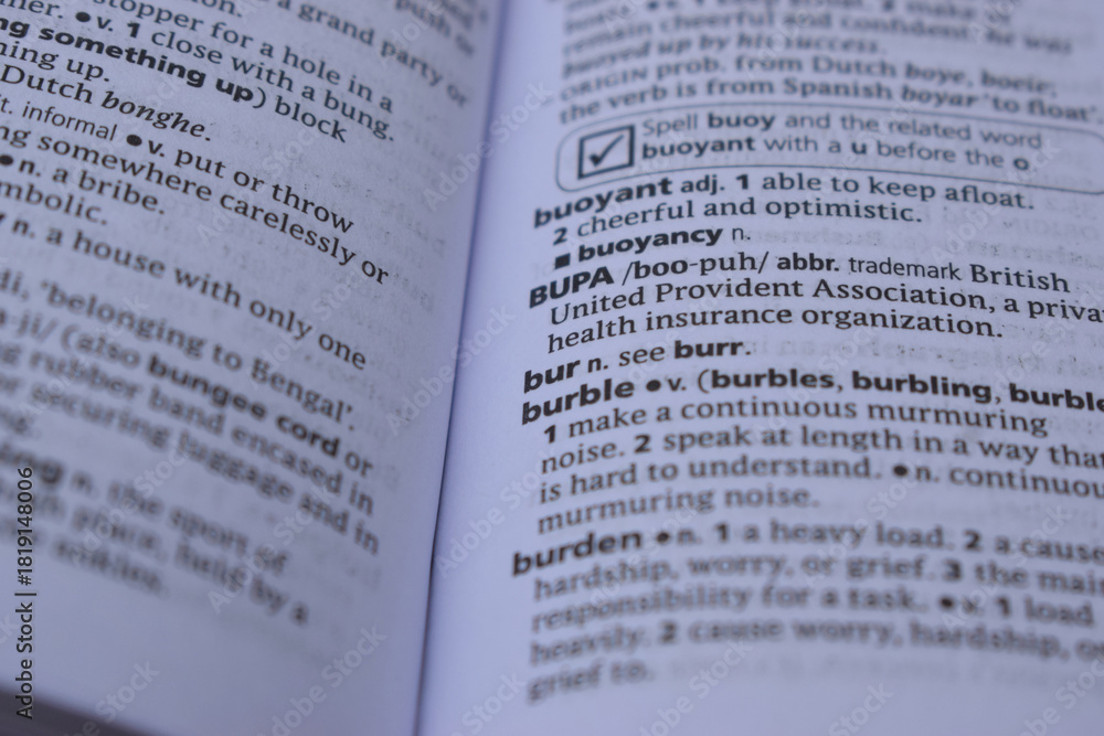Obraz premium Definition Of English Dictionary Close Up Of Page With Word - bur