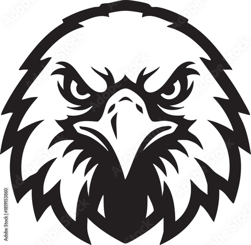 Fierce eagle head illustration with intense gaze and sharp beak viewed from the front