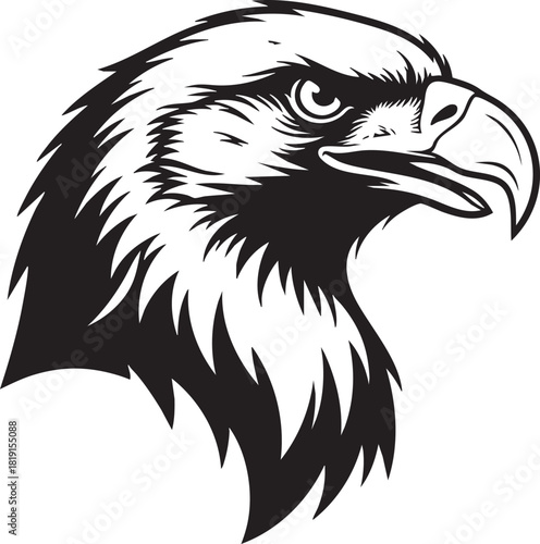 A detailed black and white illustration of an eagle's head, showcasing its sharp beak and piercing eyes, from a close-up viewpoint.