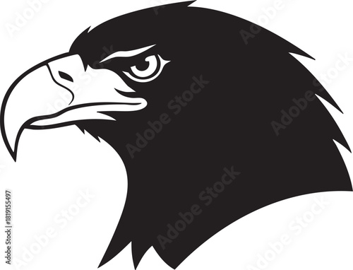 Majestic Eagle Head Illustration Featuring Sharp Beak and Feathers from a Close-up Front View