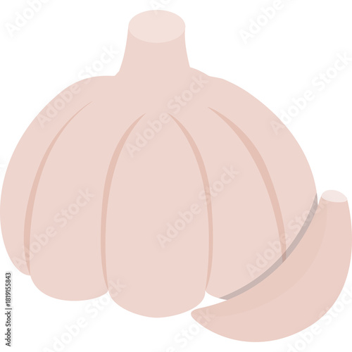 Pale Pink Garlic Bulb with One Clove Isolated on White Background Simple Illustration Flat Design