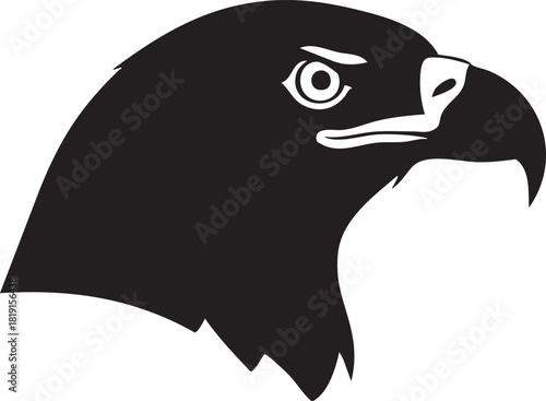 Illustration of a majestic bird of prey with sharp beak and piercing gaze, showcasing wildlife elegance from a profile view.