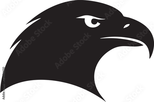 A majestic eagle's head profile illustration showcasing sharp features and fierce expression