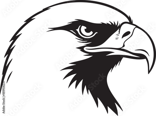 A majestic eagle's head is depicted in a black and white illustration, showcasing its sharp gaze and detailed feathers.