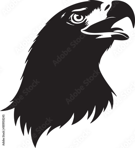 A majestic eagle's head is illustrated in stark black silhouette against a clean white background