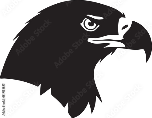 A close-up illustration of an eagle's head showcasing its sharp beak and piercing eye