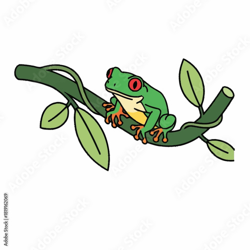 Vibrant red eyed tree frog perched on a leafy branch.