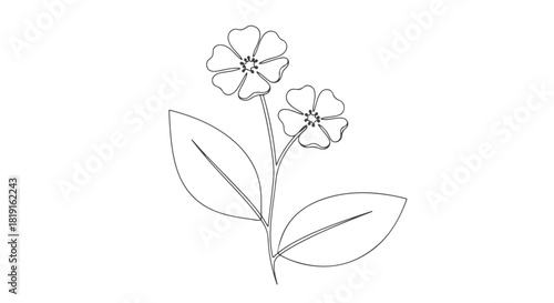 Elegant continuous single line art showcasing a delicate flower, a minimalist botanical vector illustration for modern design