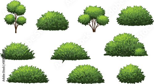 Stylized bush illustration, green shrubs, small trees, foliage variety, botanical drawing, nature design, landscape element, vector art, plant collection