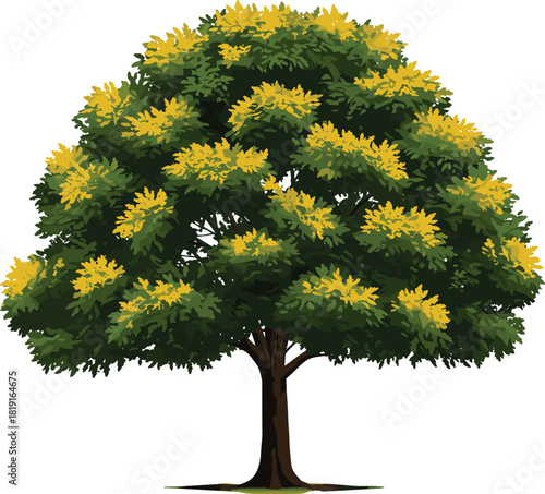 Stylized tree illustration, green yellow foliage, vibrant leaves, botanical drawing, nature design, landscape element, isolated tree, vector art, seasonal canopy