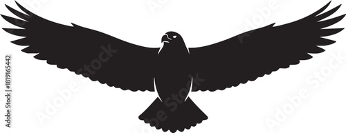 Dynamic silhouette of a majestic bird of prey in flight, wings fully extended, symbolizing freedom, strength, and a powerful, soaring spirit against an open background
