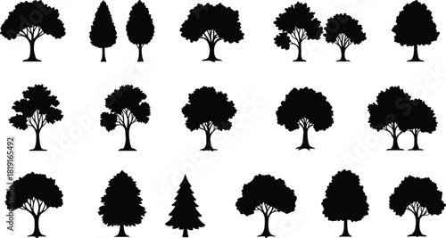Tree silhouettes collection, various shapes and foliage patterns, evergreen and deciduous, abstract black shadow trees, landscape design, botanical reference set
