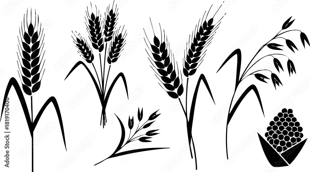 Naklejka premium Black silhouette wheat spike oat grain vector illustration agriculture harvest farming plants