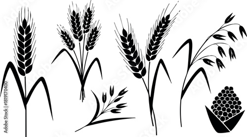 Black silhouette wheat spike oat grain vector illustration agriculture harvest farming plants