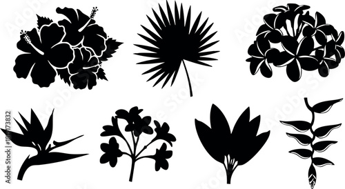 Black silhouette tropical flowers and leaves vector set with different shapes and styles for design elements