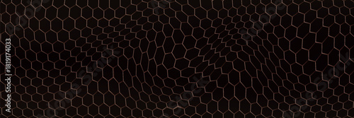 Abstract dark brown Geometrical Background Connection structure. Science background. onnecting dots and lines. Big data visualization and Business .Vector illustration. hexagon mesh.chemical industry