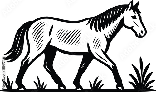 Black and white linocut horse illustration showing dynamic motion ideal for equestrian branding packaging and label artwork