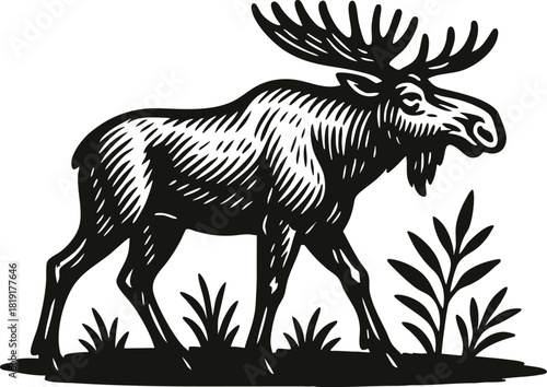 Bold linocut moose illustration in monochrome style ideal for outdoor branding rustic packaging and heritage label artwork